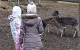 Loňské zvířátkové Vánoce si obyvatelé zookoutku užili